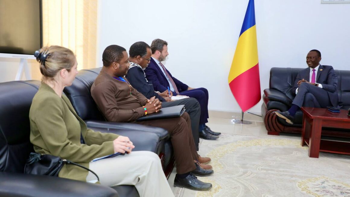 Tchad : la présidentielle au menu de discussion entre le Premier ministre et un émissaire de l’OIF